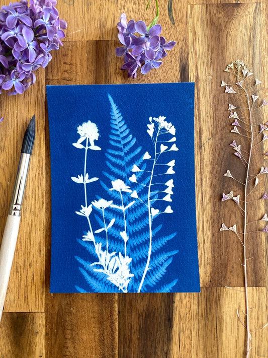 Nuances de bleu en cyanotype