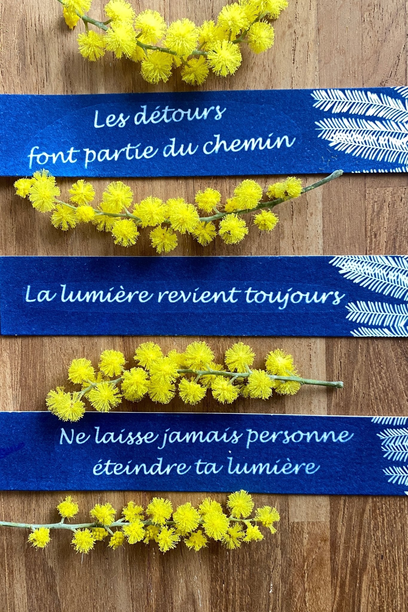 Carnets en cyanotype original imprimé au soleil