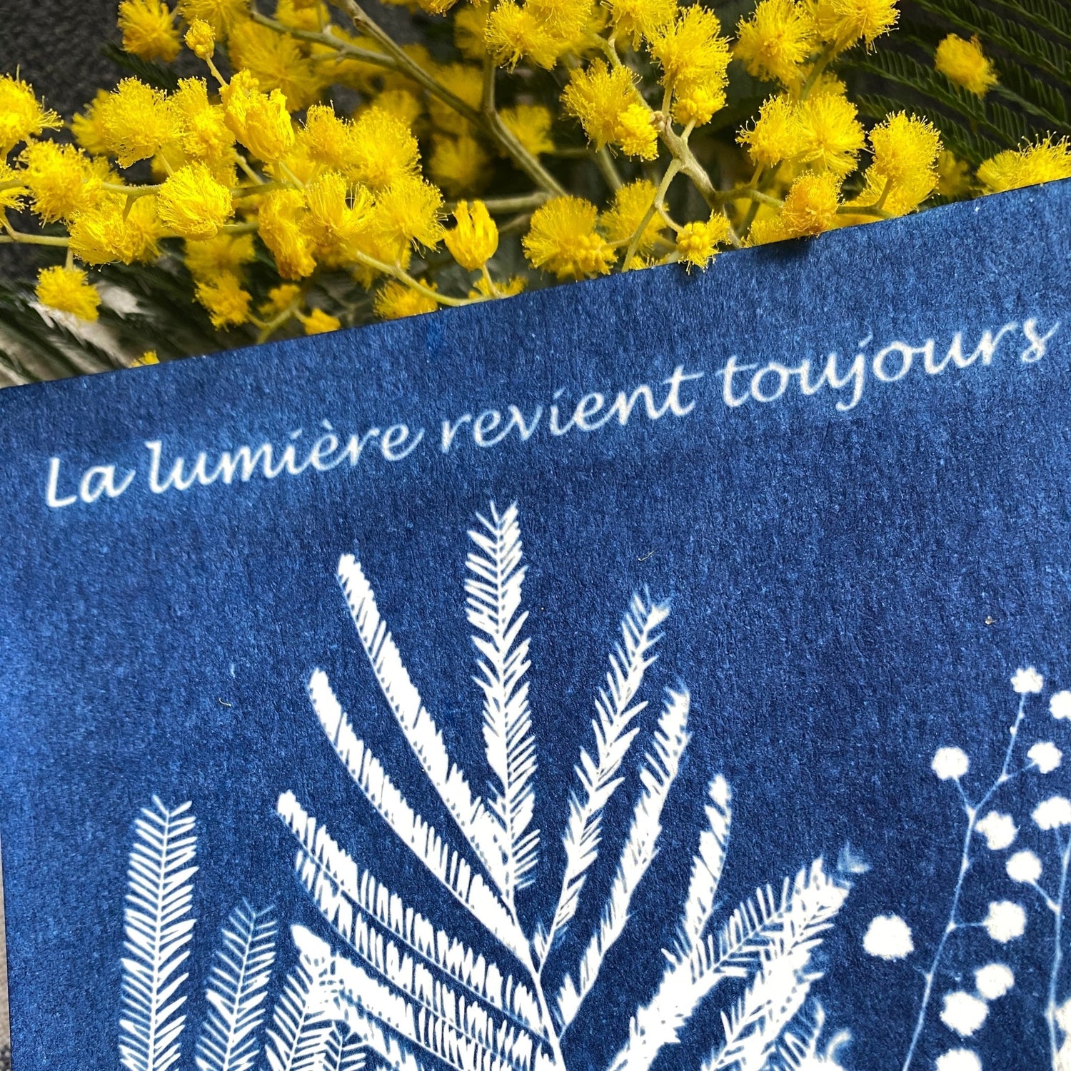 Collection Fiesta Mimosa | Pochettes et carnets en cyanotype