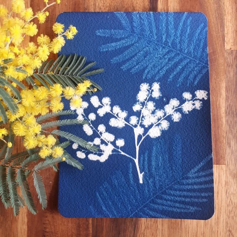 Kit créatif cyanotype papier photosensible pret à l'emploi