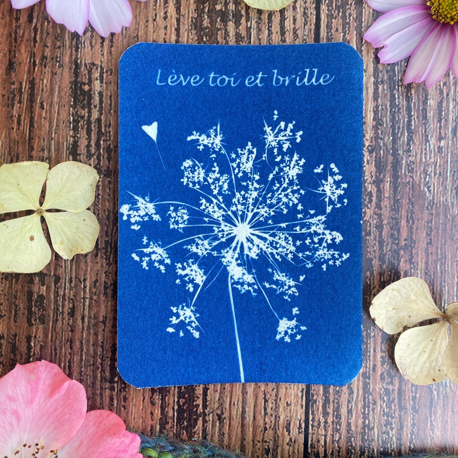 Atelier cyanotype à Gujan Mestras et en Gironde adultes et ados