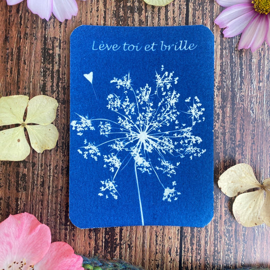 Atelier cyanotype à Gujan Mestras et en Gironde adultes et ados