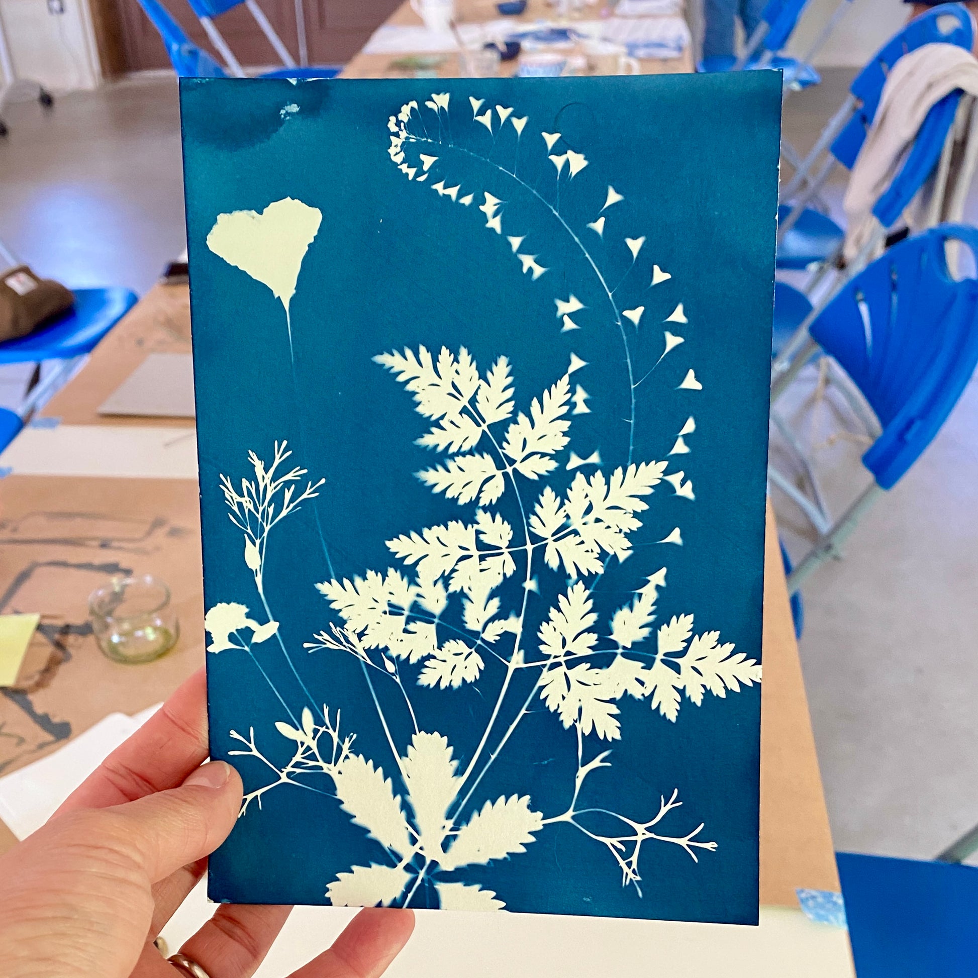 Atelier créatif, cyanotype sur le bassin d'arcachon. Adulte et enfants