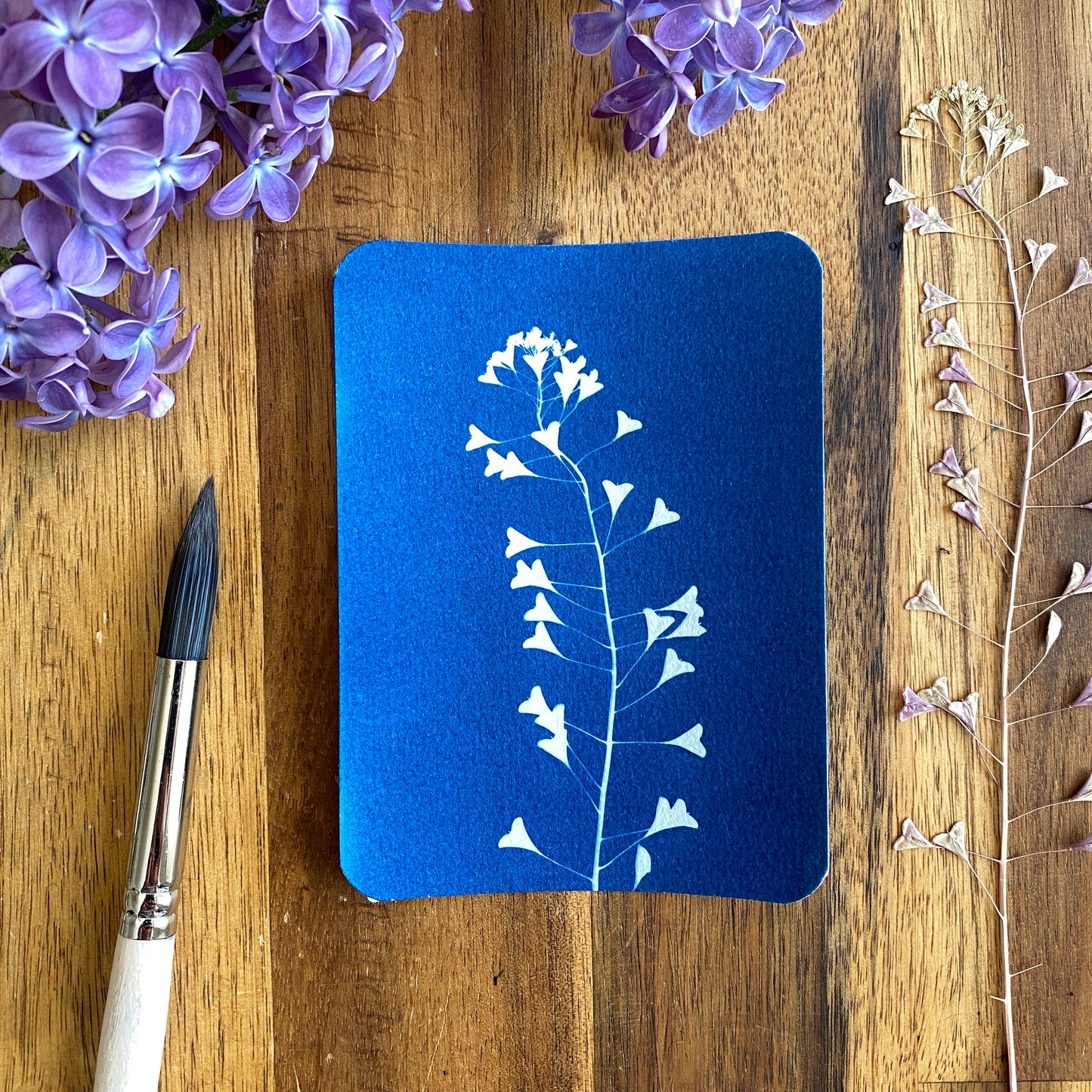 Atelier cyanotype duo adulte enfant – Gujan Mestras Bassin d’Arcachon