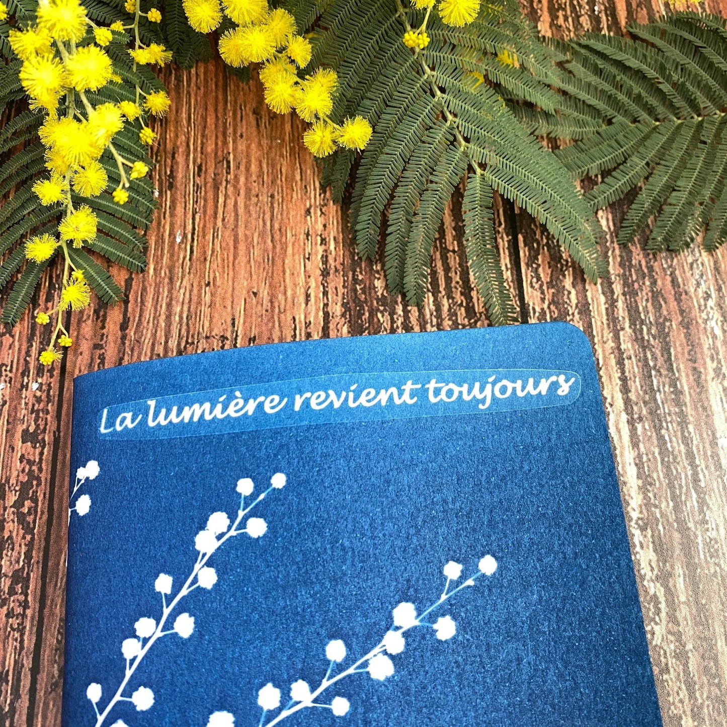 Carnet en cyanotype original imprimé au soleil