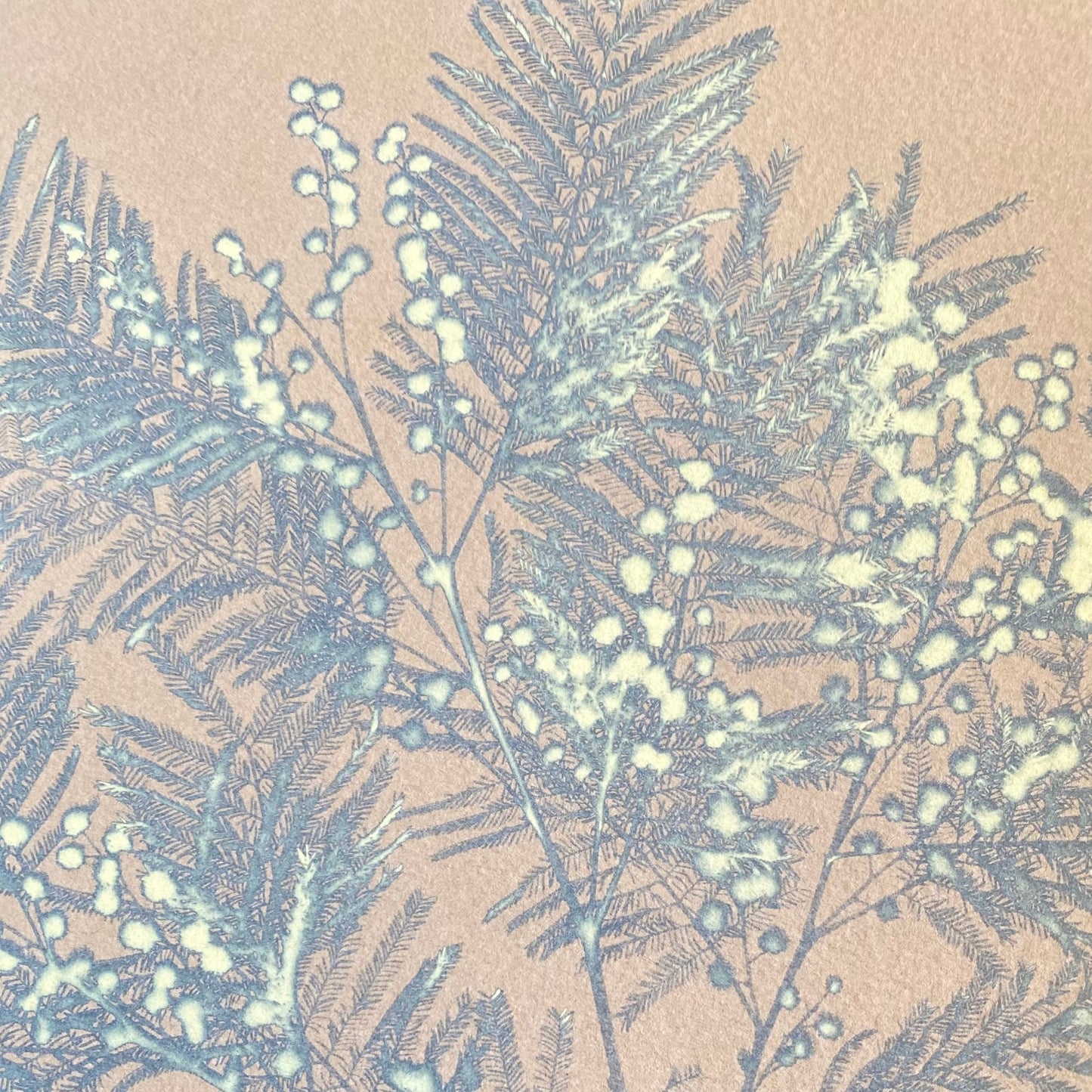 Empreinte éphémère d'un cyanotype cyanotype réalisé avec le kit | Impression au soleil de motifs botaniques sur papier sensible. Activité DIY nature.