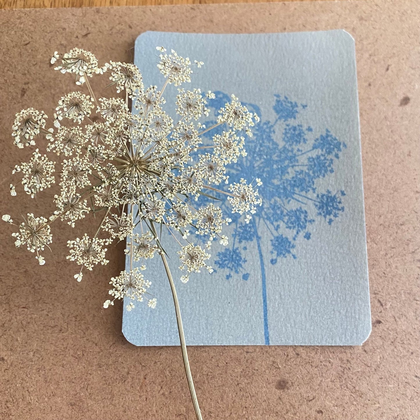 Kit cyanotype | Papier photosensible prêt à l’emploi pour créer avec le soleil