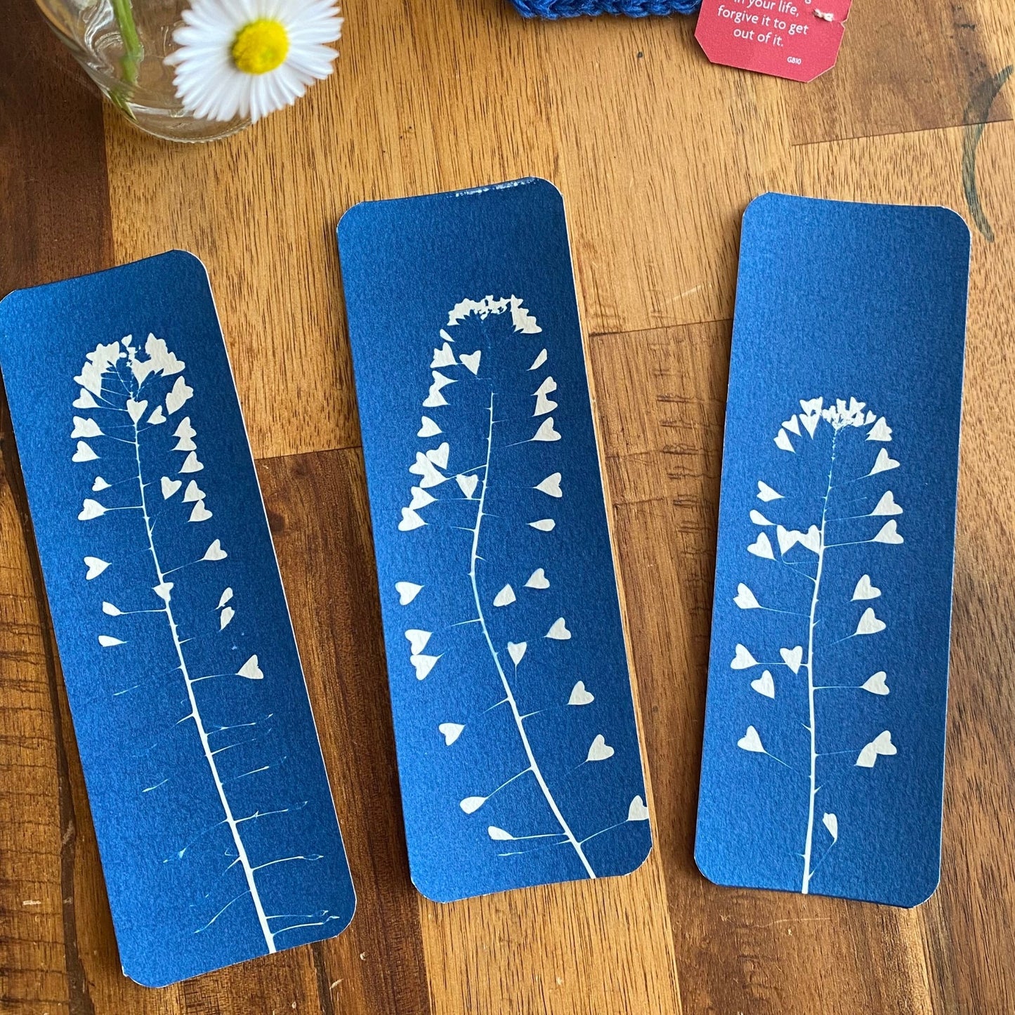 Marque page en cyanotype réalisés avec le kit découverte | Impression au soleil de motifs botaniques sur papier sensible. Activité DIY nature.