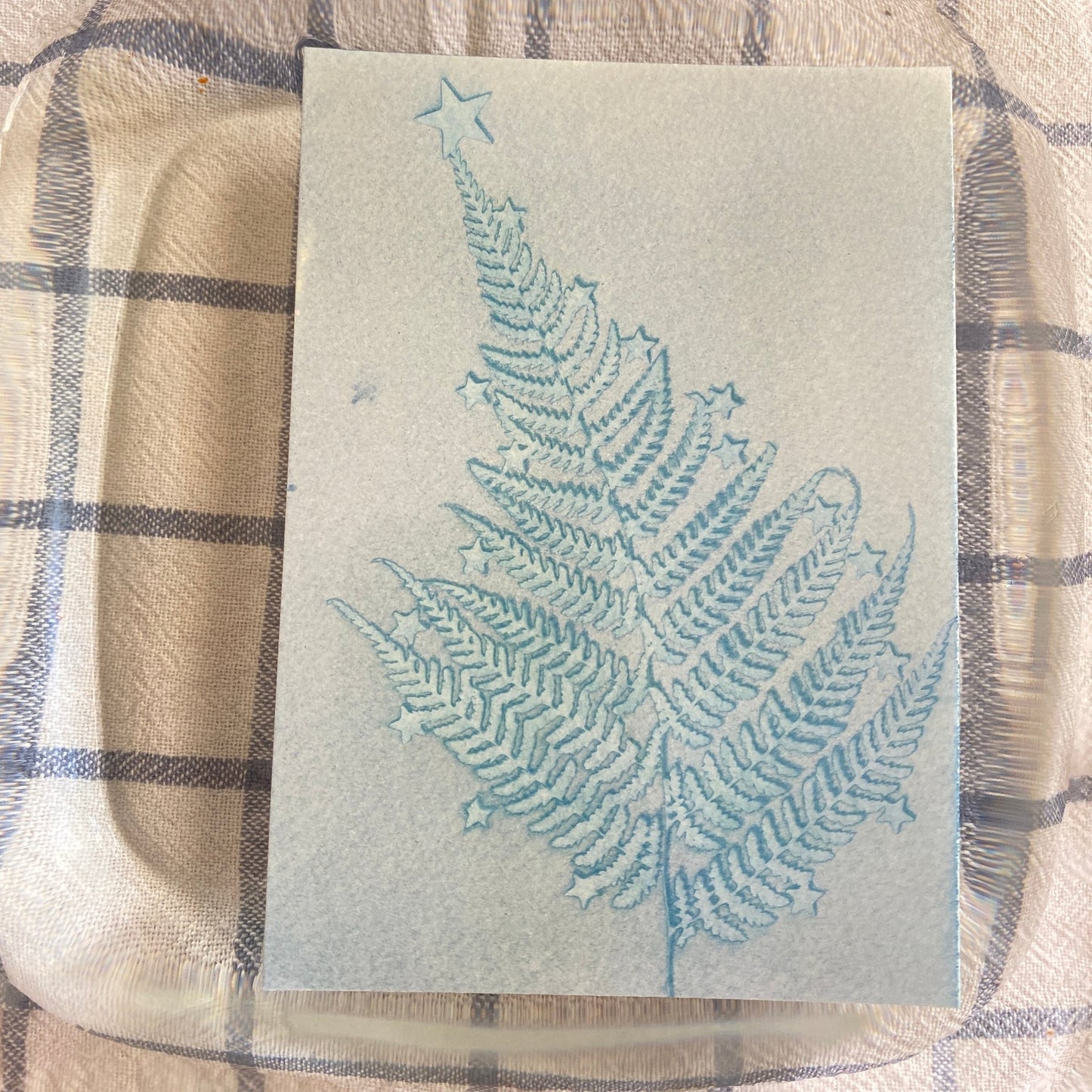 Kit découverte du cyanotype | Edition spéciale Noël