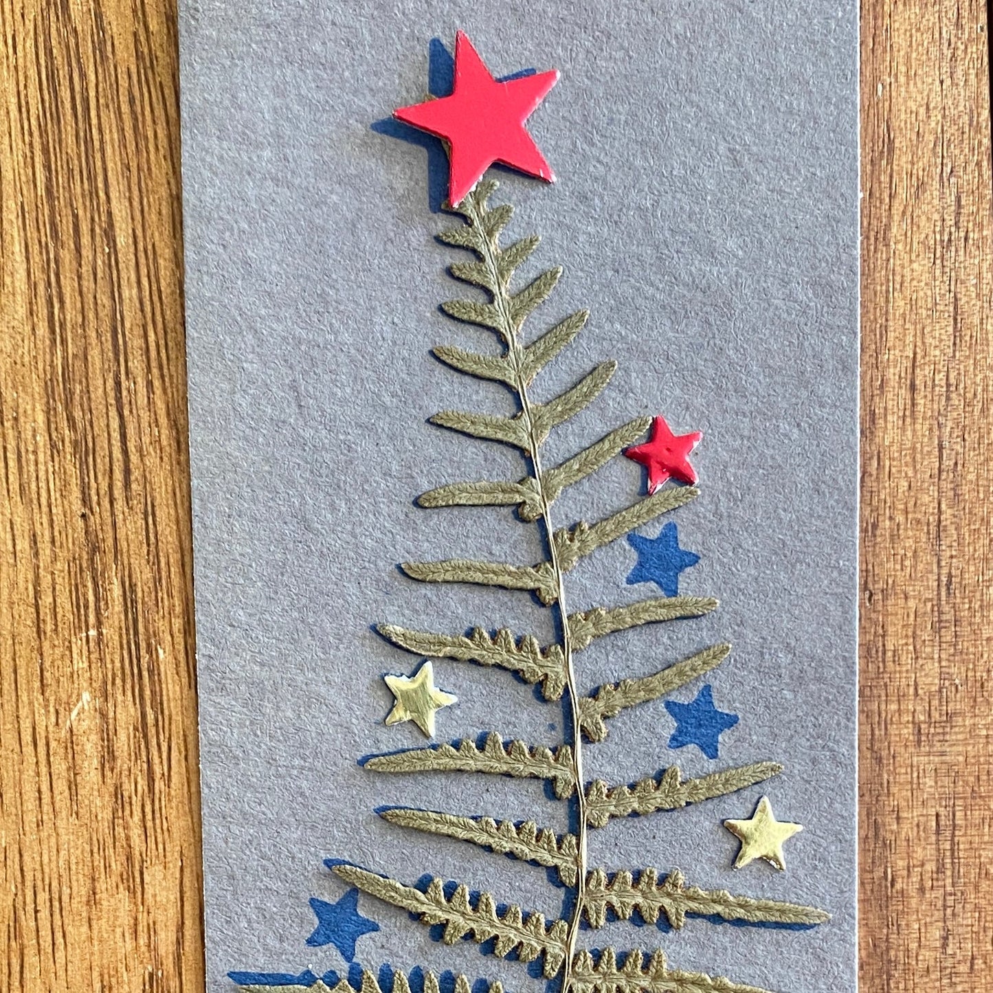 Kit découverte du cyanotype | Edition spéciale Noël